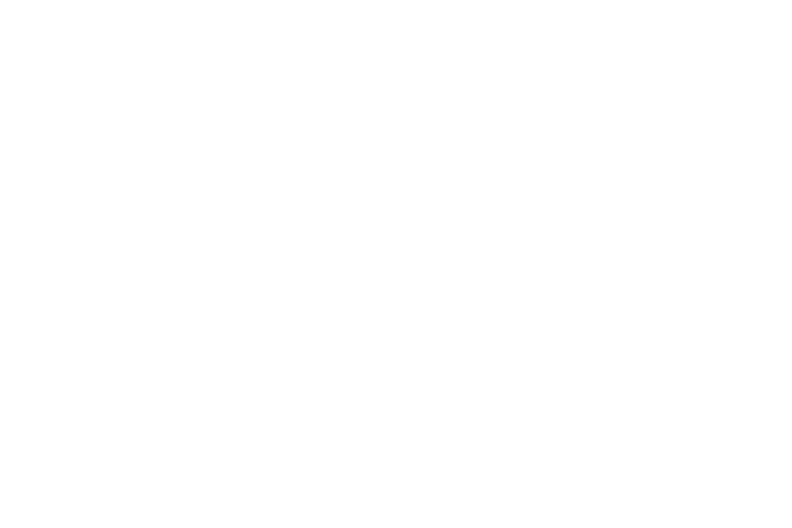 Giorgio besc 