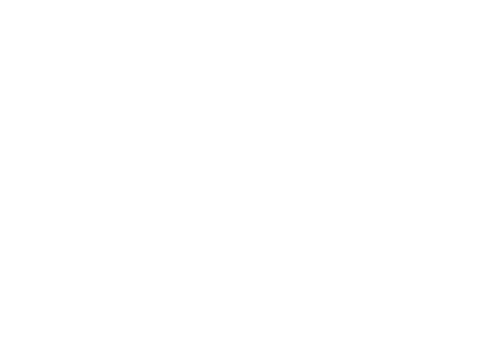 logo main